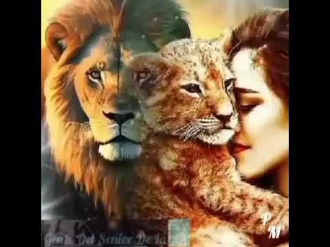 Javier Rosa's y Su Artillery Pesada Joel De La P. ( Gente De Aguillla)