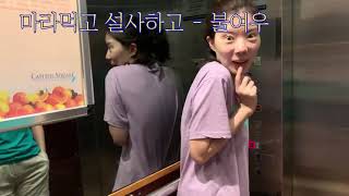 혼자보기 아까워 만든 불여우들 호주여행 짜투리컷 video