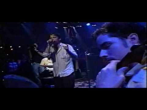 Skinned - Blind Melon