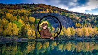 Christopher Schwarzwälder, Iannis Ritter - Flowers Are Green (Original Mix)