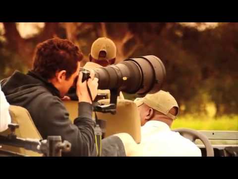 Foto-Safari Südafrika