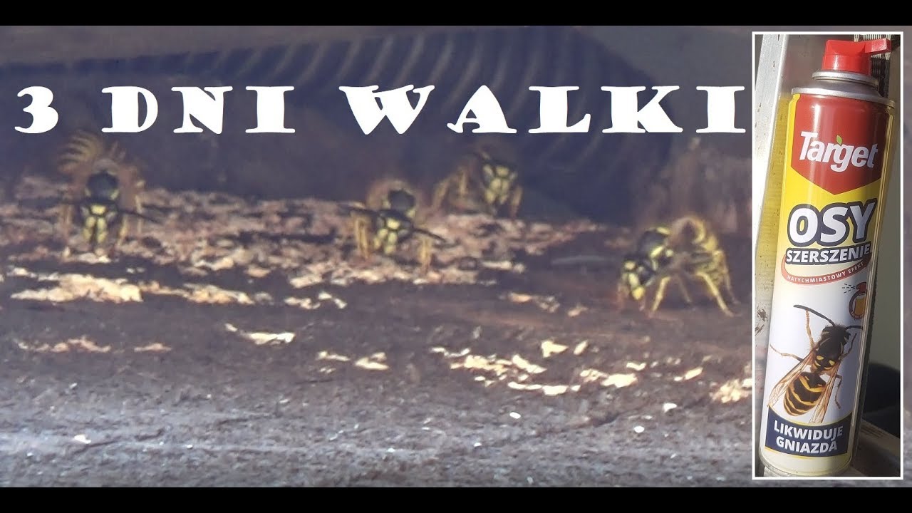 Osy VS. Target GAŚNICA 3 dni WALKI spray zwalczanie gniazda niszczenie likwidacja os i szerszeni