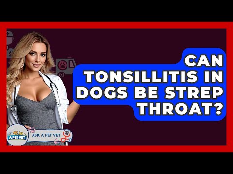 Can Tonsillitis In Dogs Be Strep Throat? - Ask A Pet Vet