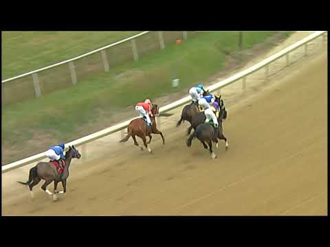LAUREL PARK 1 5 2019 RACE 3