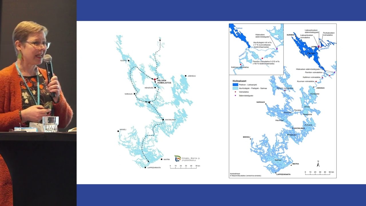 Hankkeet - Krista Mikkonen