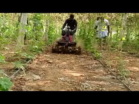 Demo video