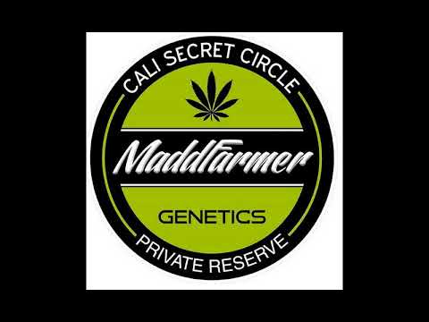 Episode 3 - Madd Farmer of Madd Farmer Genetics  -  23/09/16