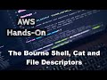 The Bourne Shell, Cat and File Descriptors