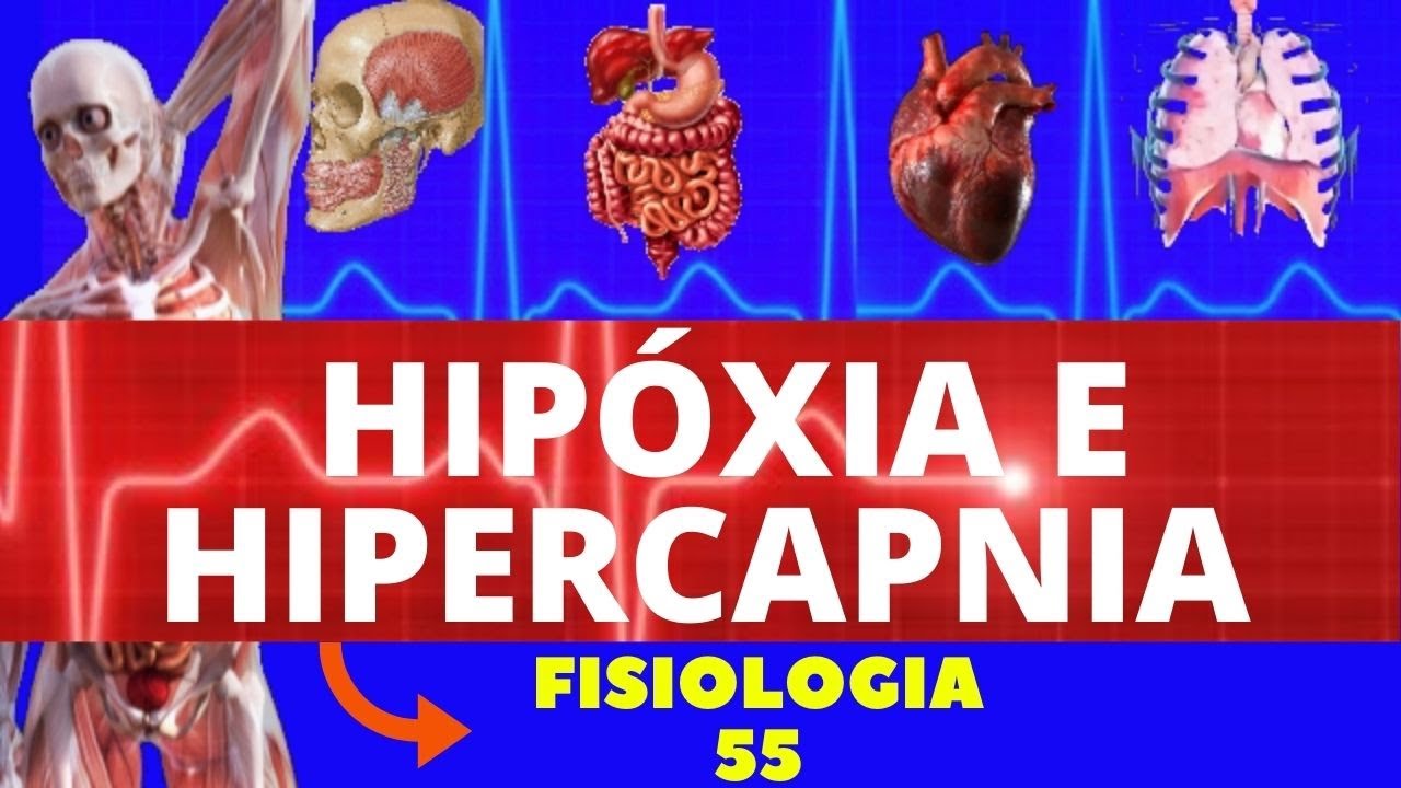 HIPÓXIA E HIPERCAPNIA (FISIOLOGIA HUMANA) - FISIOLOGIA DE GUYTON - FISIOLOGIA RESPIRATÓRIA