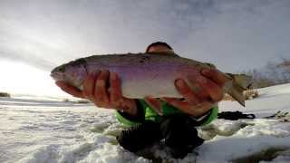 Huge Rainbow Trout Ice Fishing Alberta - Jaw Jacker and GoPro Hero 3+