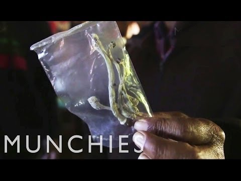 The Magic Mushrooms of San José del Pacífico: MUNCHIES Guide to Oaxaca (Part 3)