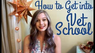 How to Get into Vet School | BellaVet