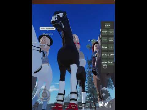 Team araby🤪😍✨#konie#koniara#mse