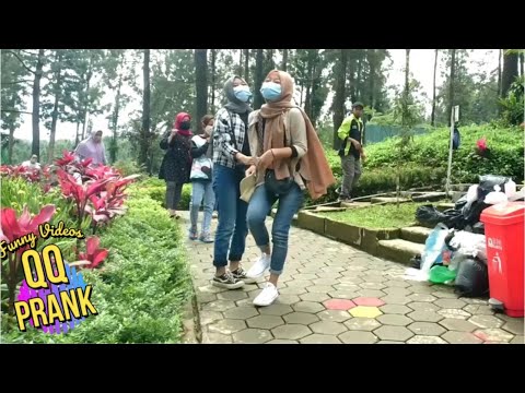 prank-sampah-kaget-latah-kucing-meong