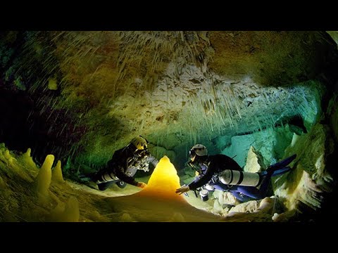 Thumbnail for video: Ancient Caves - Official IMAX Trailer - Narrated by Bryan Cranston Thumbnail for video: Ancient Caves - Official IMAX Trailer - Narrated by Bryan Cranston