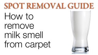 How to Remove Milk Smell from Carpet | Spot Removal Guide