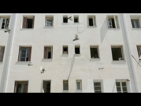 Forget Alberto for Now – trailer | IFFR 2020