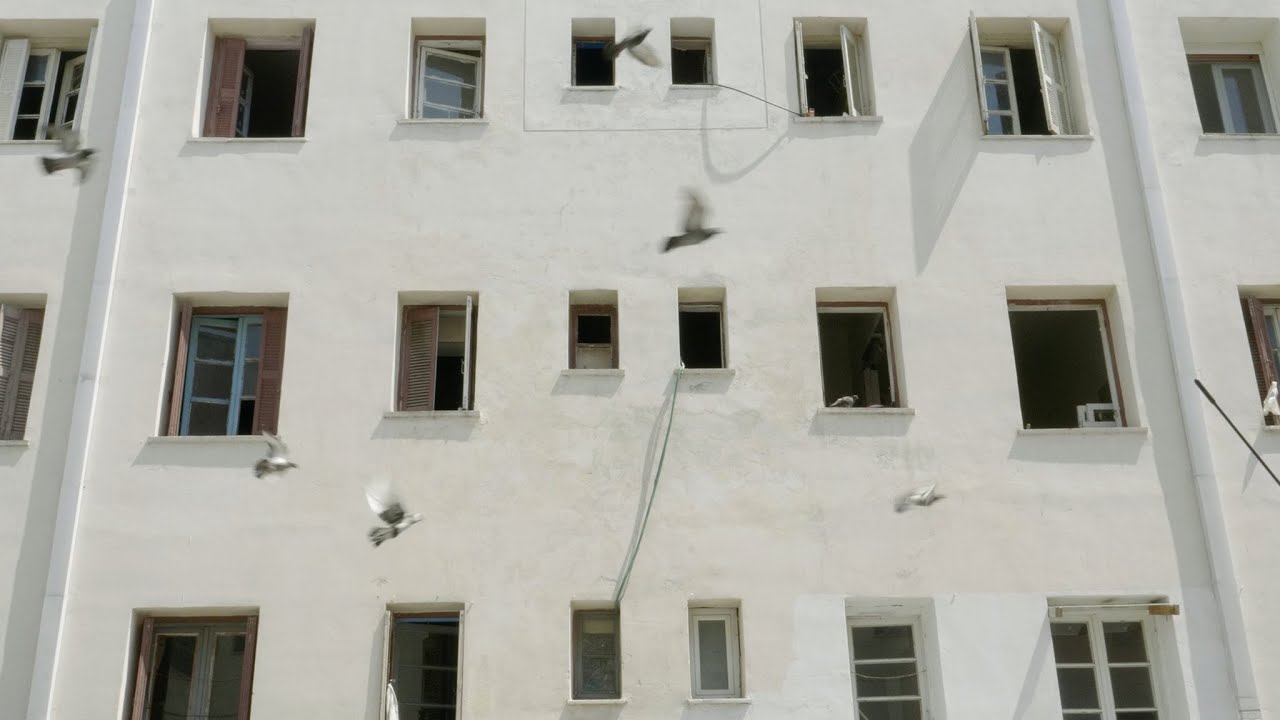 Forget Alberto for Now – trailer | IFFR 2020