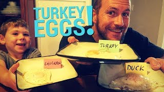 What Do Turkey Eggs Taste Like?