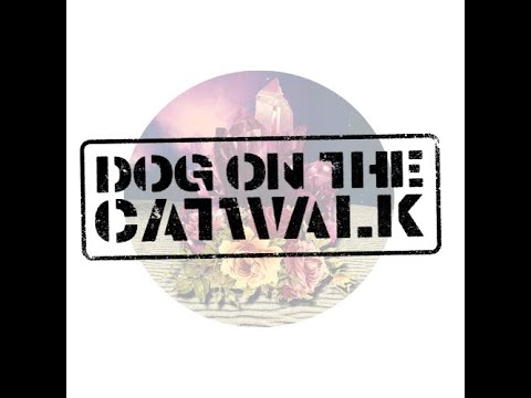 Dog on the Catwalk - Dog on the catwalk - No more lies