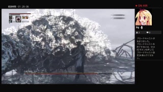 bloodborne　RTAの練習