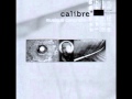 Calibre - Version