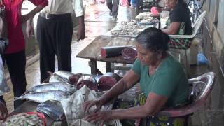 preview picture of video 'NEGOMBO FISH MARKET'