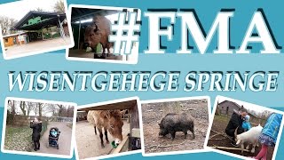 preview picture of video '#FMA - Familienausflug in das Wisentgehege Springe'