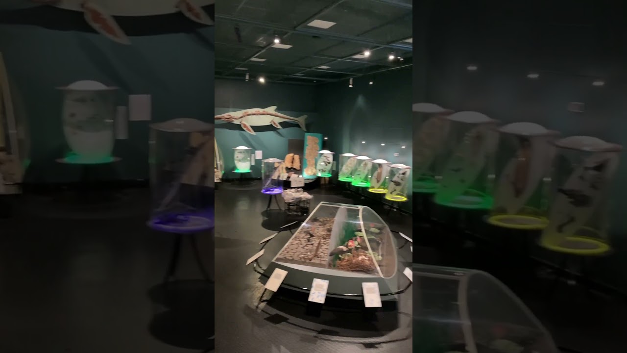 YouTube Short thumbnail