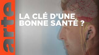 Le nerf vague : dialogue entre le cœur et le cerveau | ARTE