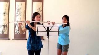 Themes from Narnia - Flute Duet