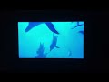 Opening To The Big Blue 1988 2000 DVD