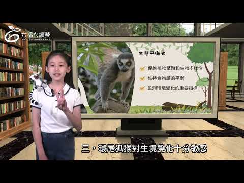  國小高年級中文組 潛力獎 -2025六福永續獎: 最佳人氣影片