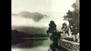 Alasdair Roberts - I Fell In Love