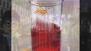 me tome una pastilla division minuscula