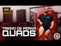 TREINO DE PERNAS - QUADRICEPS