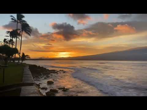 Tiada dendam - Zara Zya (Lirik Video)❤️