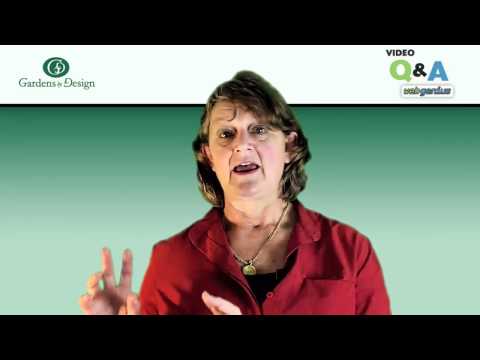 download lagu mp3 mp4 Landscape Architect Wellington, download lagu Landscape Architect Wellington gratis, unduh video klip Landscape Architect Wellington