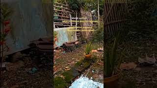 Download lagu story' wa kesucian ati#story wa 30 detik# Difarina indra# mp3