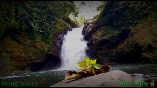 Download lagu Story wa sugih tanpo bondo sujiwo tejo mp3