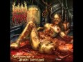 Infected Flesh - Inoculation 