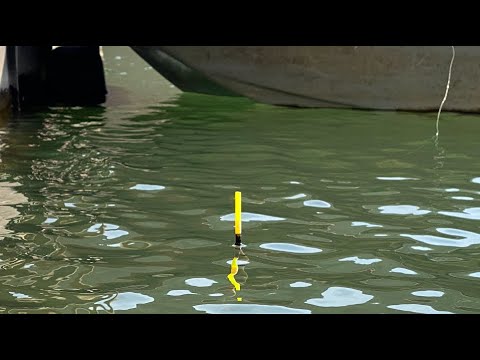 Pecanje Skobalja na hleb (Toplica) Ribolov na plovak