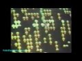 Asteroids And Centipede Strategy Video 1982