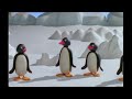 All The Penguin Facts With Professor Pingu
