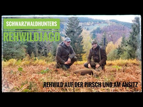 Roe deer | Stalking and evening hide | Black Forest Hunters |