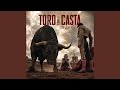 Toro de Casta