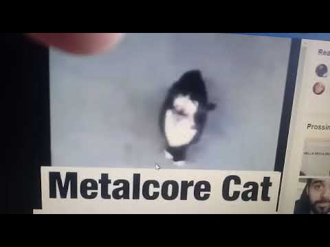 Metal Cat