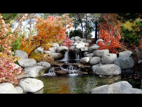 Kotodamas Reiki Chant 432hz [Relaxing Sleeping Music]