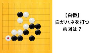 【9路】白ハネの意図は？｜囲碁クエスト実況｜白番｜対小目