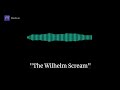 Wilhelm Scream (FULL ORIGINAL RECORDING)